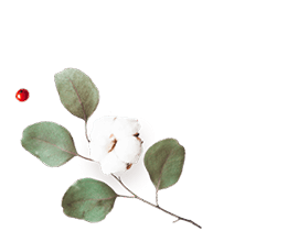 https://mitzy-y-dominic.click/wp-content/uploads/2020/12/floating_image_flower_01.png