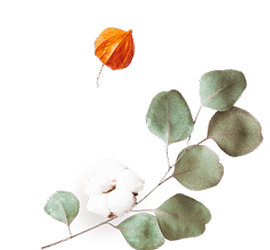 https://mitzy-y-dominic.click/wp-content/uploads/2020/12/floating_image_flower_02.png