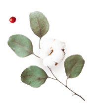 https://mitzy-y-dominic.click/wp-content/uploads/2020/12/floating_image_flower_03.png