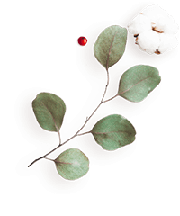 https://mitzy-y-dominic.click/wp-content/uploads/2020/12/floating_image_flower_04.png
